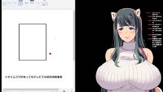 【プレミア12】いぬ将こと犬耳おばさんの野球実況解説配信【vsベネズエラ代表】