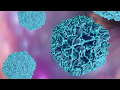 ¿Qué es el poliovirus y cómo afecta?