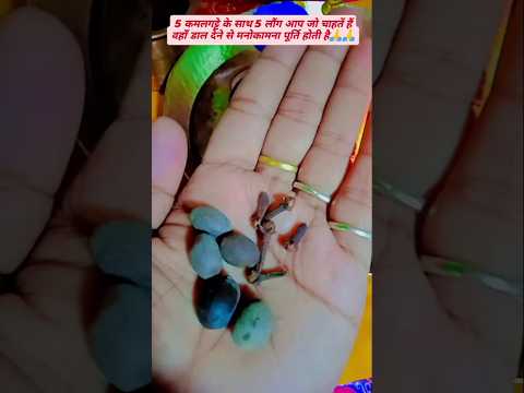 !! 5 कमलगट्टे के साथ 5 लौंग आप जो चाहतें हैं वहाँ डाल देने से मनोकामना पूर्ति होती है🙏!! #shortvideo