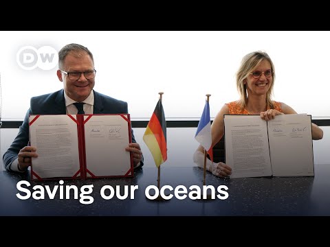 What can we do to save the ocean that feeds us? | DW News