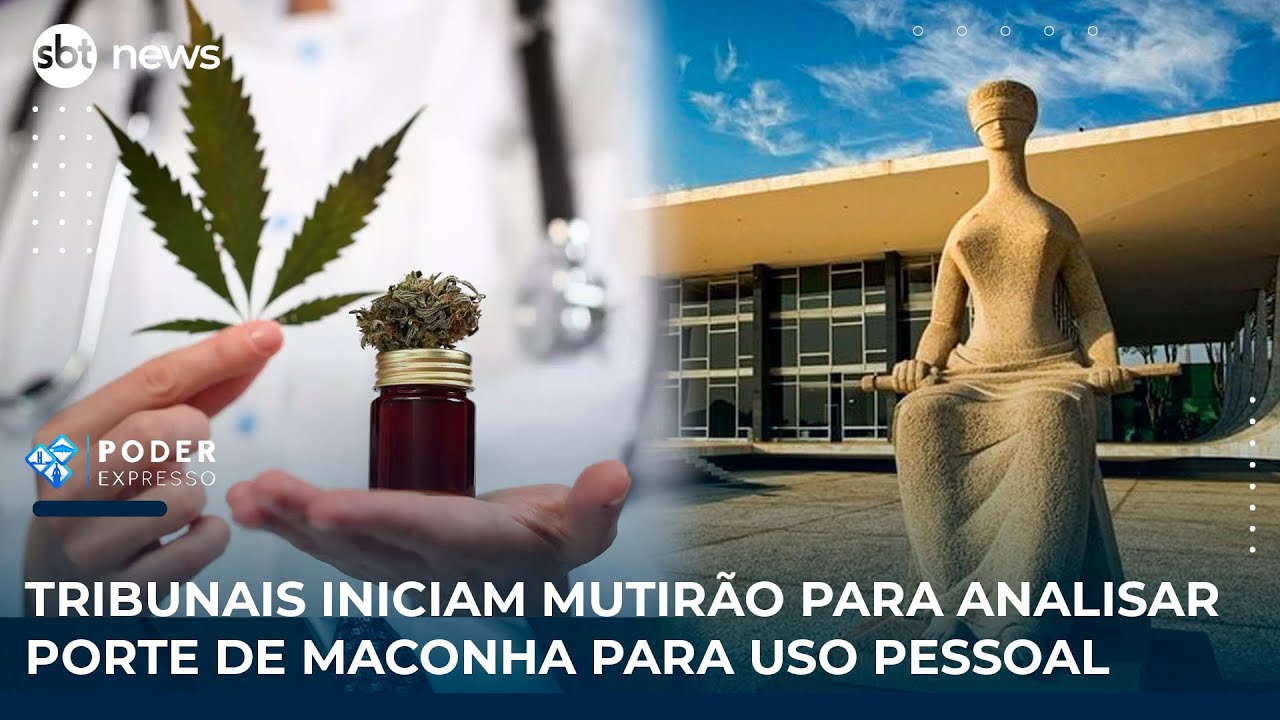 Tribunais iniciam mutirão para analisar porte de maconha para uso pessoal | SBT News