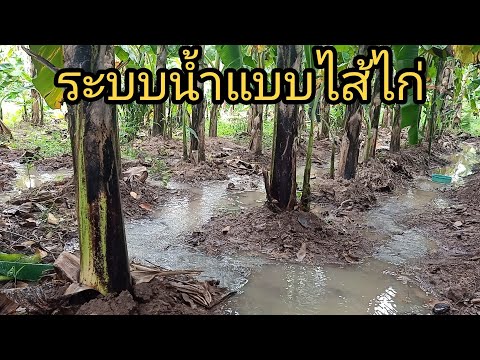 ระบบน้ำแบบไส้ไก่-สามารถใช้งานไ ระบบน้ำแบบไส้ไก่-สามารถใช้งานไ