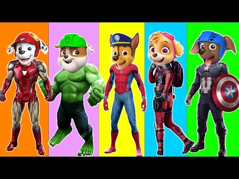 SPIDER-MAN 4: NEW HOME vs SPIDER-MAN NO WAY HOME, MILES MORALES, IRON MAN 4 FUNNY ANIMATION #5