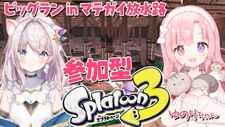 【参加型】ゆのりちゃんとビッグランあそぶ【 #スプラ3 #サモラン 】