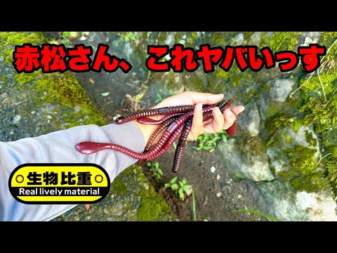 生物比重は伊達じゃなかった。コレ釣れすぎです。