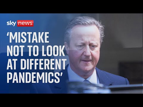 COVID Inquiry: David Cameron said it was a 'mistake' not to look at different pandemic types