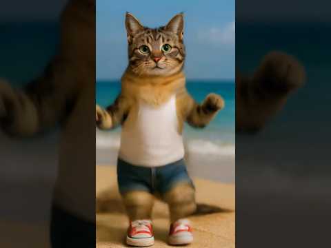 cute cat dance#catdance#cutecat#cat#shorts