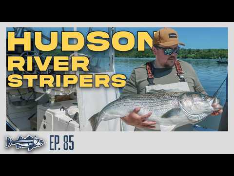 Hudson River Stripers and Cape Cod Squid | OTW Podcast #85