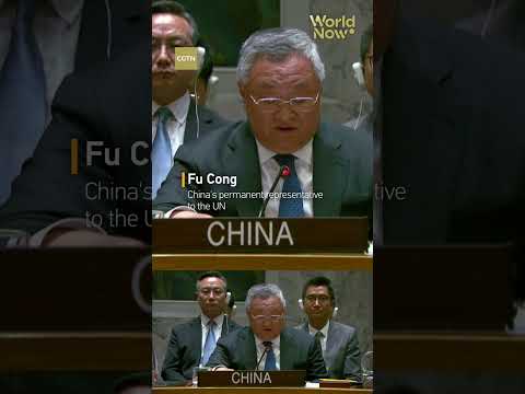 China, Russia veto UN draft on Strait of Hormuz #worldnow