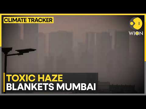 India: Mumbai Smog Lingers as Temperatures Rise | Urban Smog Returns to Mumbai Skyline | WION