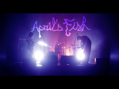 april's fish Concert Tickets - 2026 Tour Dates