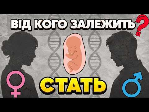 Нові дослідження! Від кого з батьків залежить стать дитини?