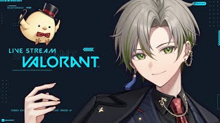 【VALORANT】Jade Cup練習！腹割って話すみたいです【新人Vtuber/桐海めかぶ】