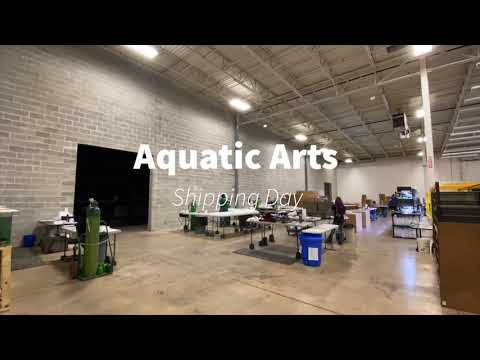 Aquatic Arts Shipping Day Check out how we run a shipping day during our Black Friday sale. Triple quality checks and top notc