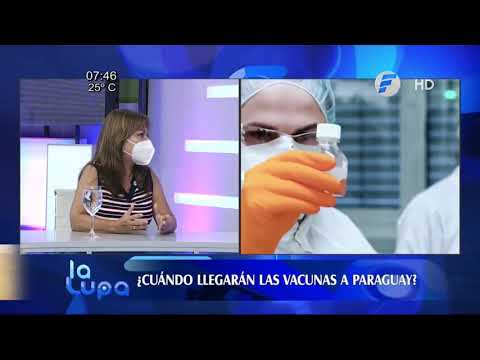¿Cuándo llegarán las vacunas a Paraguay