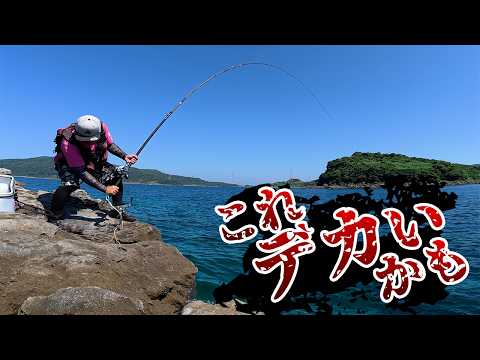 強烈な引き‼️いろいろ爆釣劇‼️