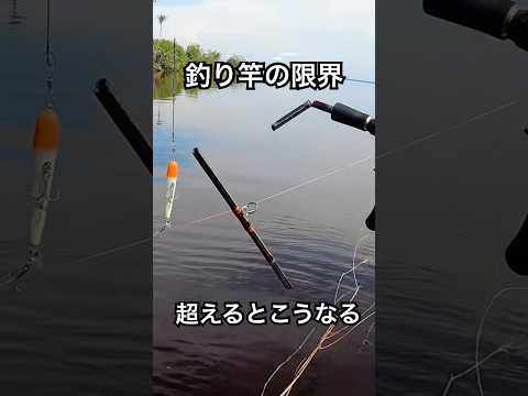 釣り竿が限界を超えるとこうやって折れる #バス釣り #パックロッド