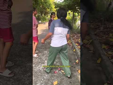 memetik jambu #shorts #budidayatanaman #buah #jambu #pertanian #fruit #harvest #viral #gardening