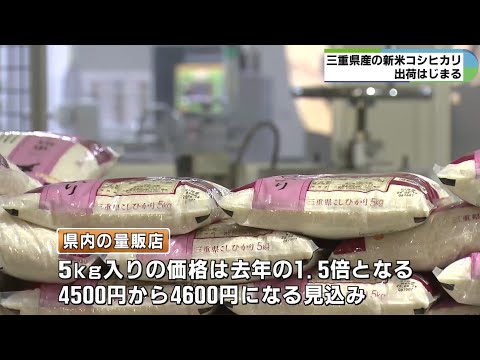 価格は去年の1.5倍　新米コシヒカリの出荷はじまる
