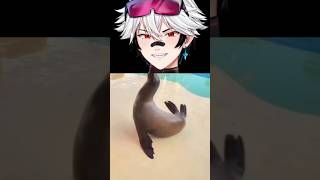 LEÃO MARINHOS SÃO SIGMAS!!!