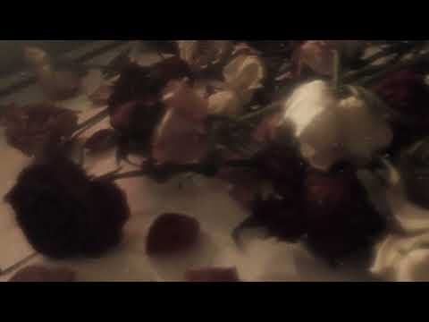 Вечір - Vivienne Mort (cover)