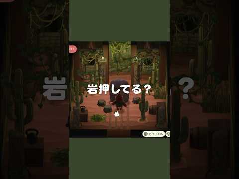ゴリラの修行。🪨💥【あつ森｜ハッピーホームパラダイス】