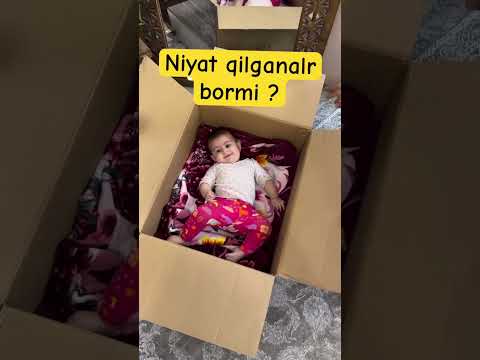 SZDAN NMA KETTI VIDEOGA BITTA  LAYK BOSING🥹❤️#youtubeshorts #rek #reels #instagram #shorts #baby