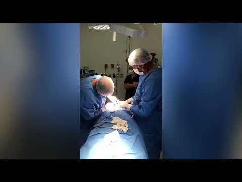 Odontologos realizan cirugías para pacientes con discapacidad