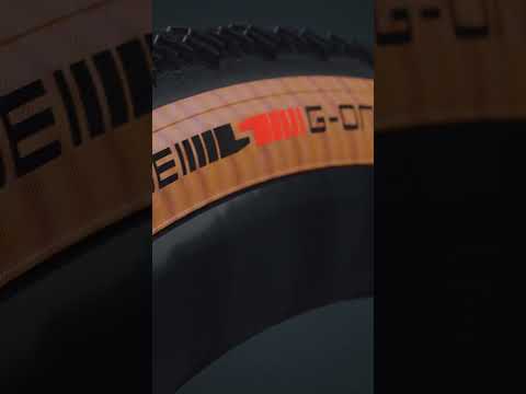 Schwalbe G-One RS - The Race Gravel Tire