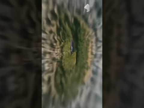 Ai Video #ai #video #edit #videoediting #entertainment