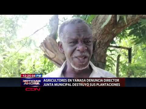 Agricultores de Yamasá denuncian les destruyeron sus plantaciones