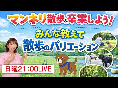 【犬 散歩】マンネリ散歩を卒業しよう! みんな教えて散歩のバリエーション犬のしつけエマチャンネル【犬のしつけ@横浜】