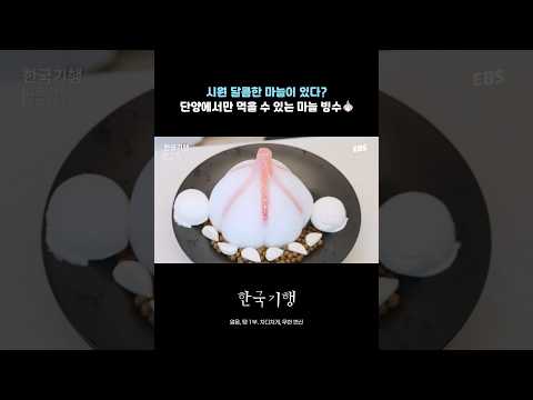 <strong>시원</strong> 달콤한 마늘은 처음이야!🧄 #한국기행 #단양 #마늘 #마늘빙수