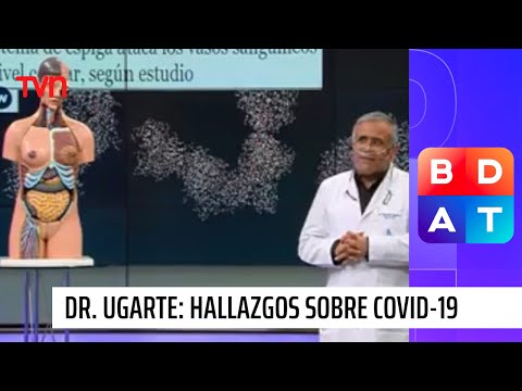 ¿Enfermedad vascular o respiratoria Doctor Ugarte explica nuevos hallazgos sobre el COVID-19 | BDAT