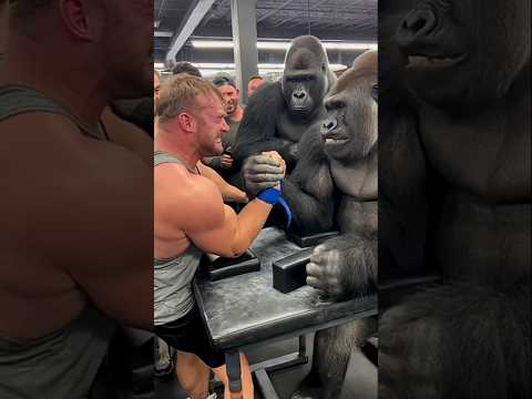 100 Man Vs Gorilla | Real or Ai #sora2 #aishorts #gorilla #aishorts #sorashorts #armwrestling