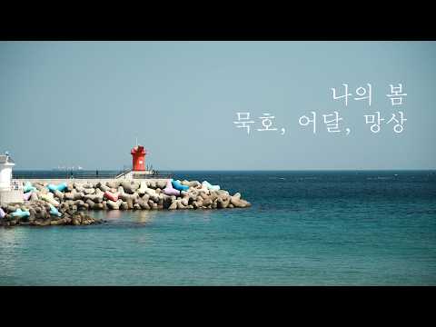 .🌊🌸 <strong>여러분의</strong> 지난 봄은 어땠나요?