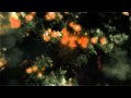 Divinity II Trailer 3