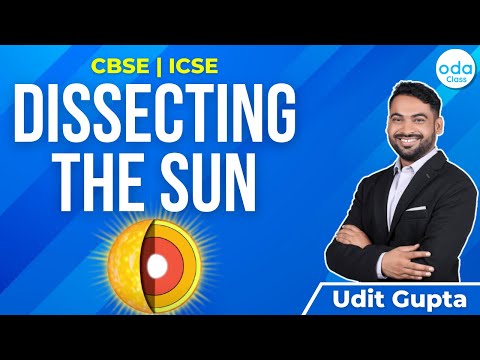 After this session, you won’t look at the Sun in the same way | CBSE | ICSE