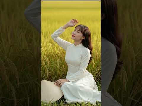 Em và cánh đồng lúa #nguyenlammychi #ai #vuivemoingay