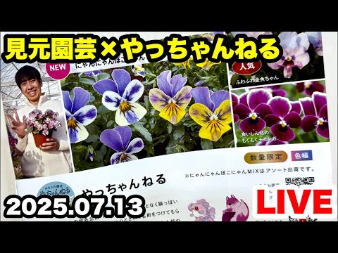 ◆【見元園芸×やっちゃんねる】三度目の正直!🙏(#^.^#)🙏