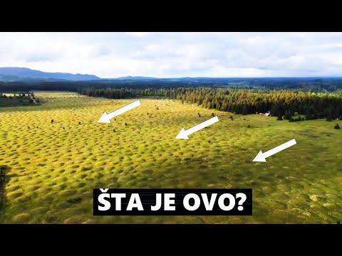 6 Neobjašnjivih Anomalija Na Zemlji Koje Prkose Nauci