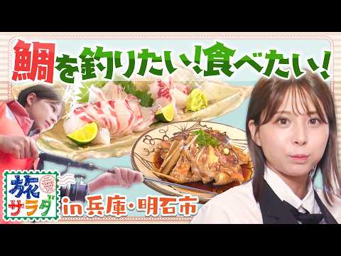 【身がキュッと引き締まった⁉🐟】上品な甘みあふれる“明石鯛”✨