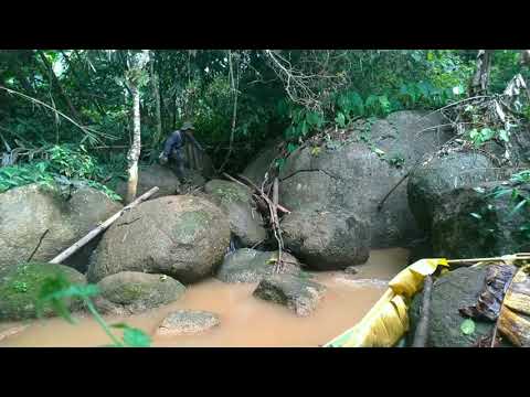 สร้างโรงตากชาชาอินทรีย์Tea