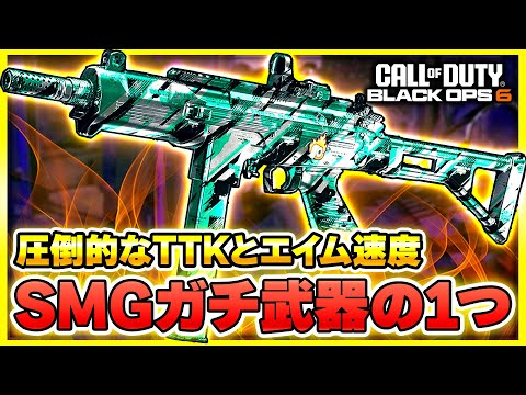 【CoD:BO6】平和な激強武器紹介のはずが予想外の事件が発生する・・・!?【ぐっぴー】