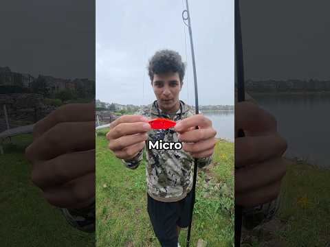 Big vs <strong>small</strong> fishing lures