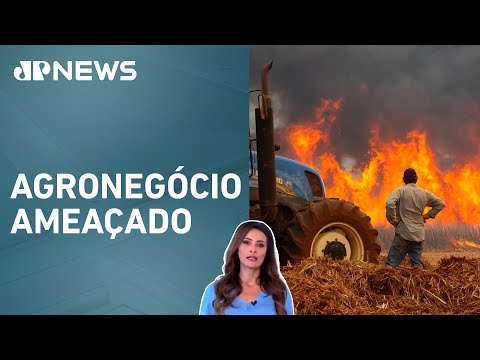 Brasil registra mais de 100 mil focos de incêndio em 2023; Patrícia Costa analisa