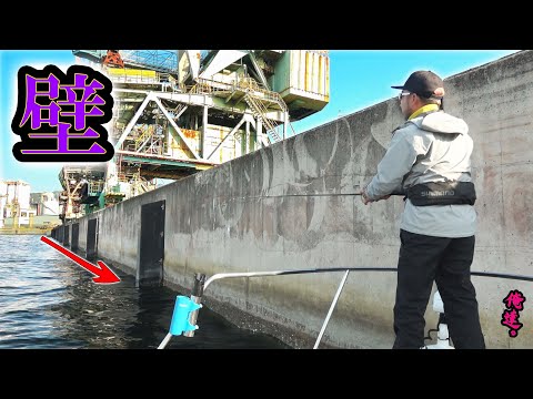 壁際ドッグウォークでドッカン食われる瞬間！【大阪】