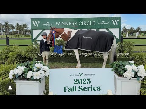 Vote For Pedro & Aria Waxman Modified Hunter Champion 🥇🥇