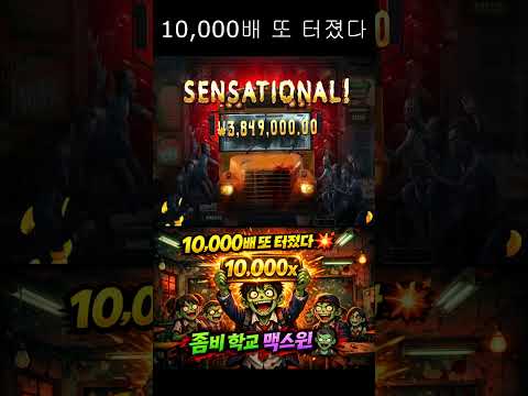 10,000배 또 터졌다
