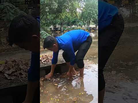Imagine If All This Culvert Was Not Clean